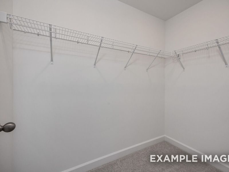 Spacious, unfurnished interior of a new home in Camden Park, Knightdale (Image 19). Spacious, unfurnished interior of a new home in Camden Park, Knightdale (Image 19).