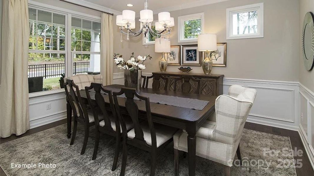 REPRESENTATIVE PHOTO