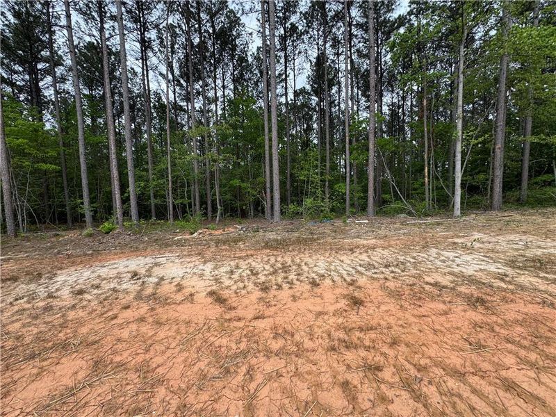 Site preparation for new homesites in , Toccoa (Image 26).