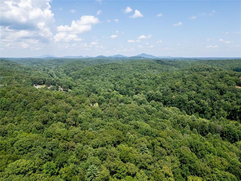 Natural landscape and outdoor views near  in Dahlonega (Image 39).