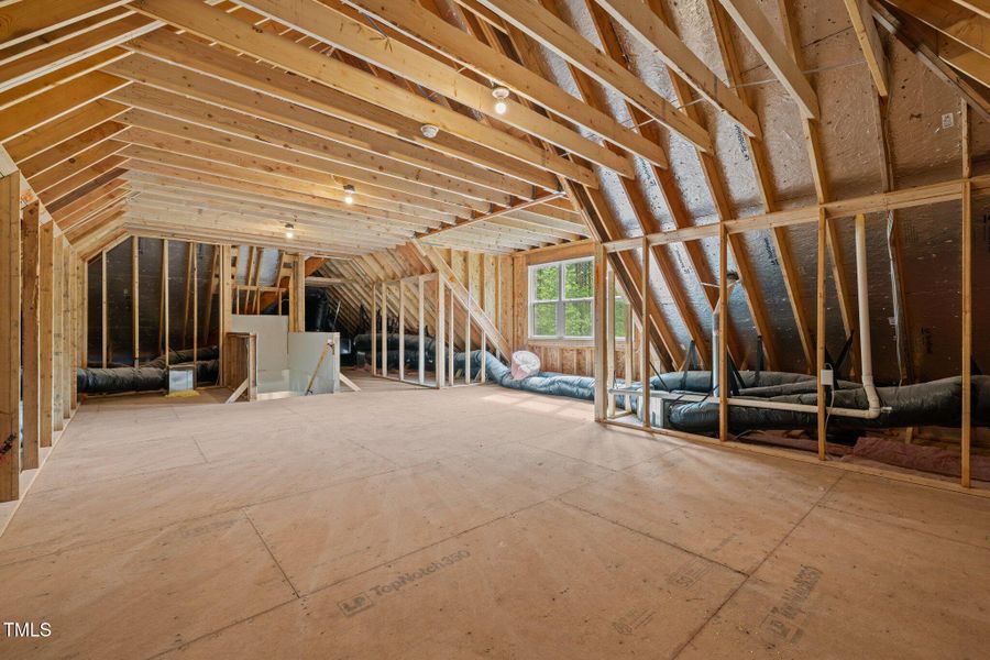 56-web-or-mls-5Z8A2926