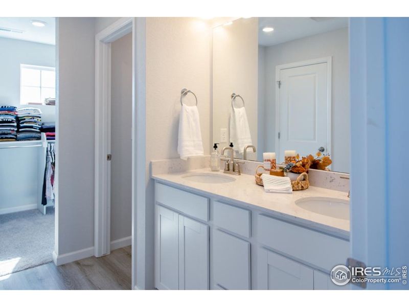 Primary Bathroom and Entrance to Walk In Closet Primary Bathroom and Entrance to Walk In Closet