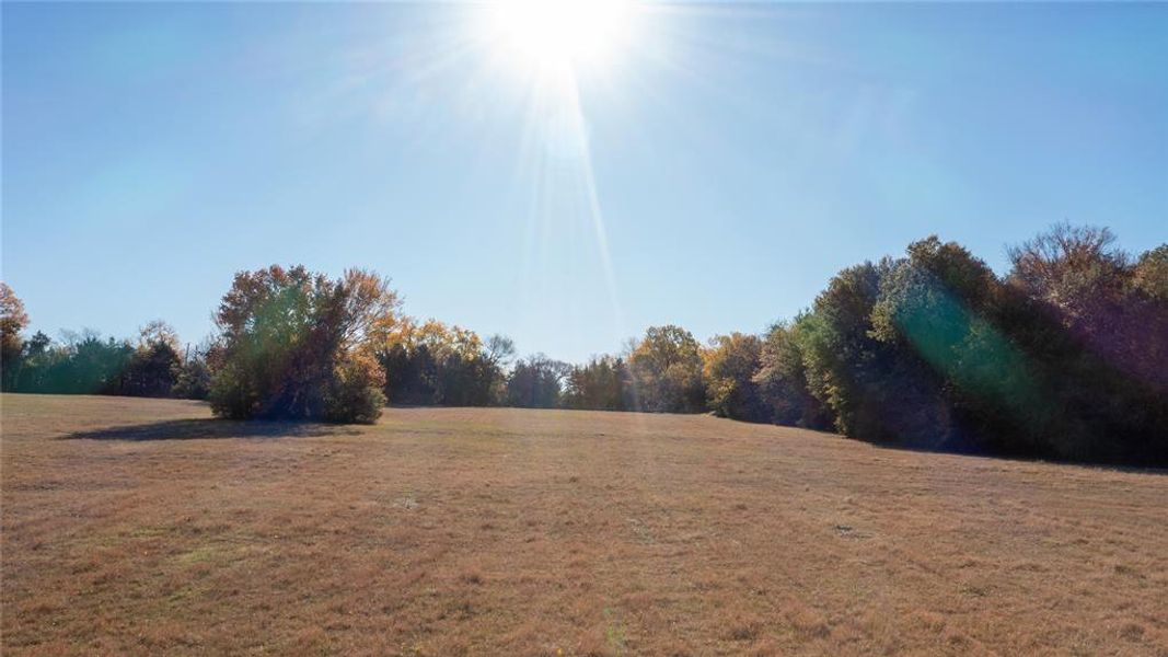 View of green lawn with a rural view