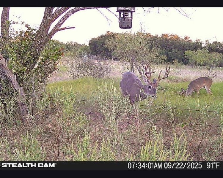 Image 15 of a home in .