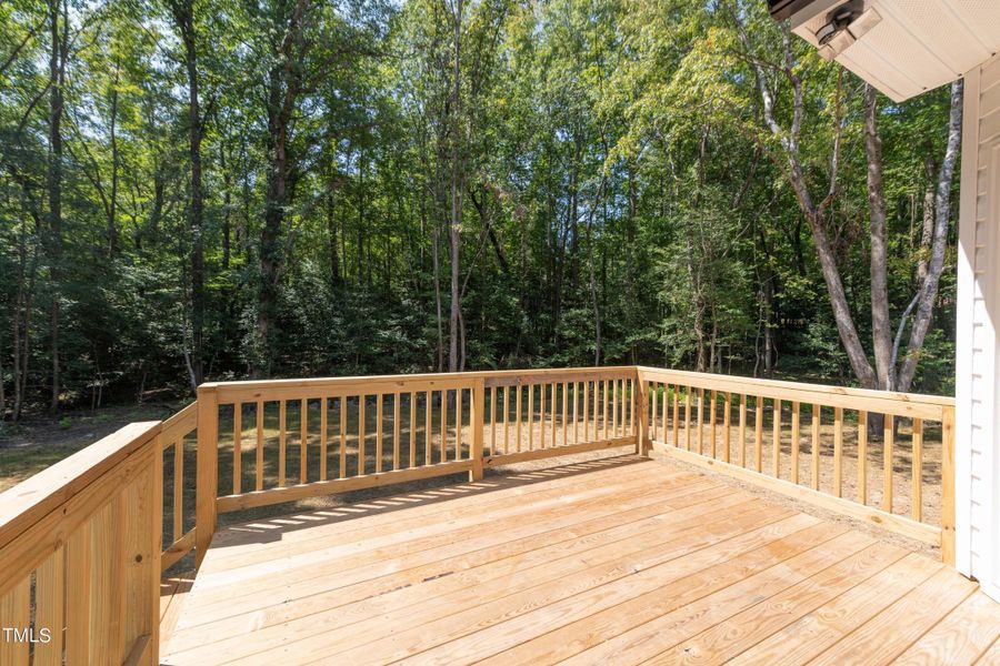 Back Deck