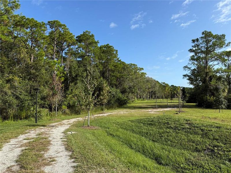 Natural landscape and outdoor views near Montague Chase in Tampa (Image 16).