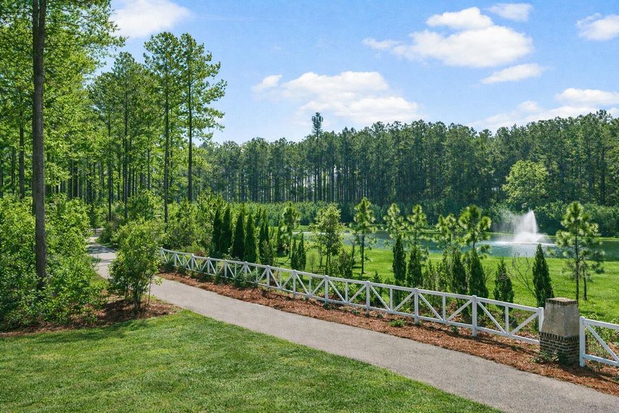 Natural landscape and outdoor views near in Summerville (Image 44). Natural landscape and outdoor views near in Summerville (Image 44).