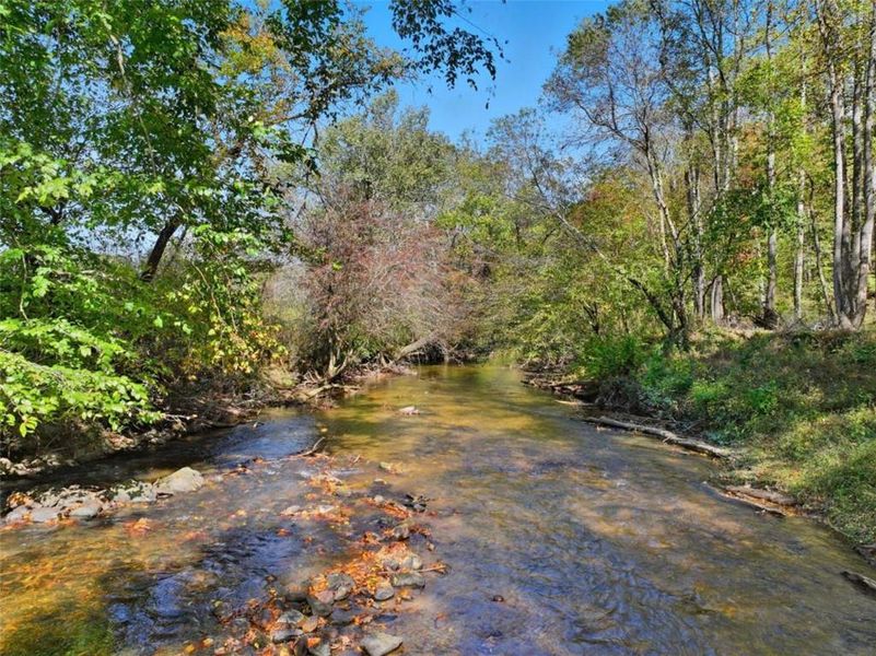 Natural landscape and outdoor views near  in Ellijay (Image 27).