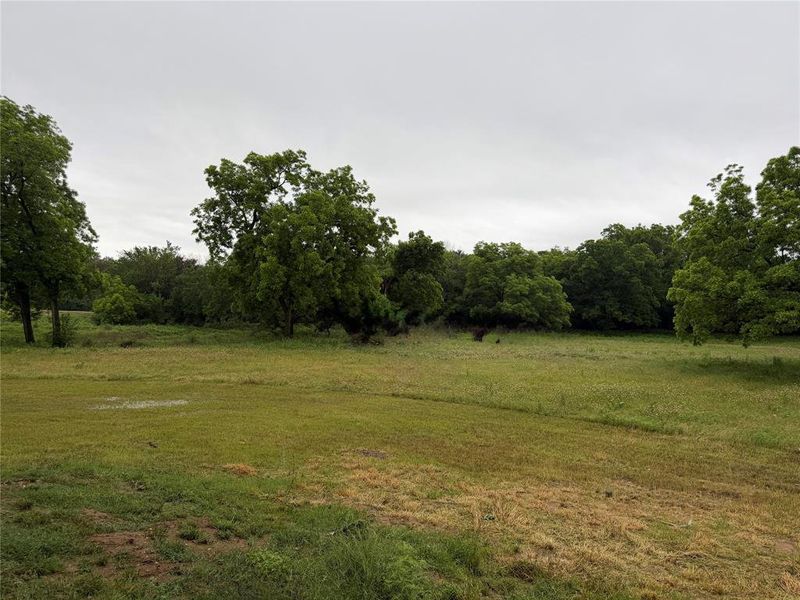 View of back of property, looking southeast, featuring a lush grove of mature trees. View of back of property, looking southeast, featuring a lush grove of mature trees.