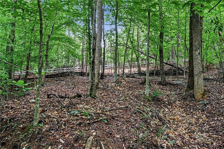Natural landscape and outdoor views near  in Marietta (Image 20).