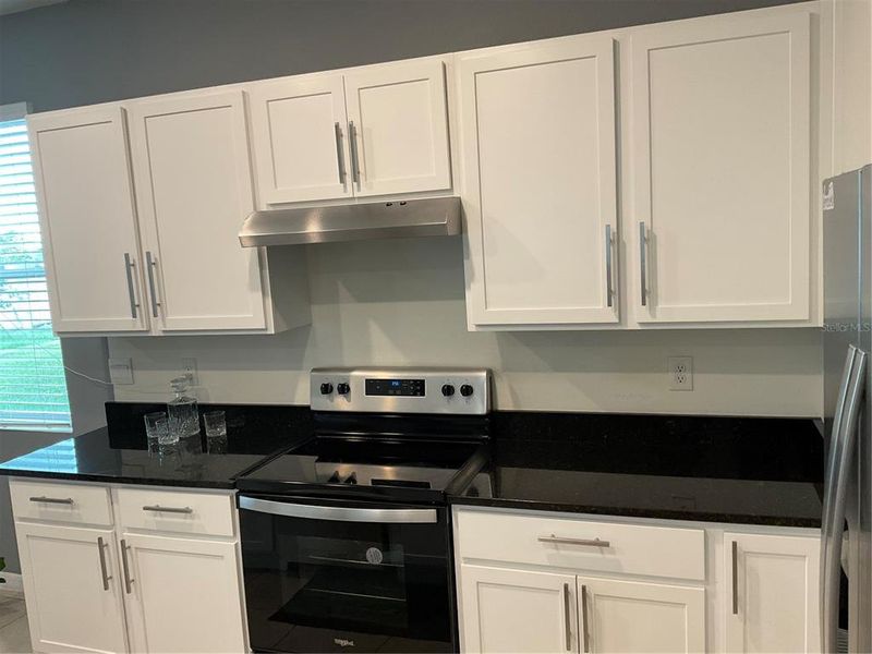 Furnished interior view inside a new home in Thompson Grove Townhomes, St. Cloud (Image 13).