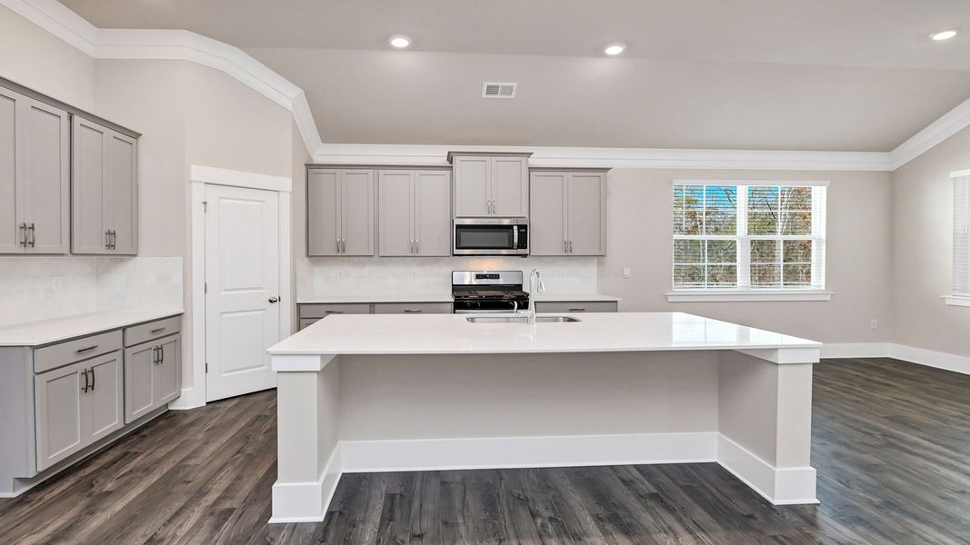 Representative furnished interior of a home built from the Litchfield by D.R. Horton in Lake Tide Summit, Chapin (Image 9).
