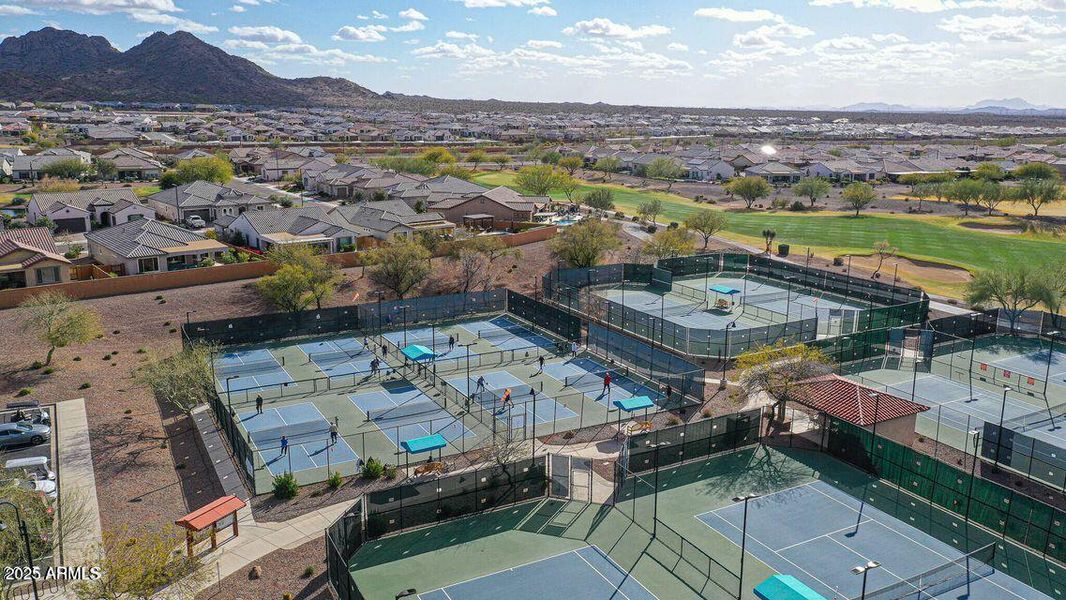44 - Sun City Festival Tennis & Pickleba