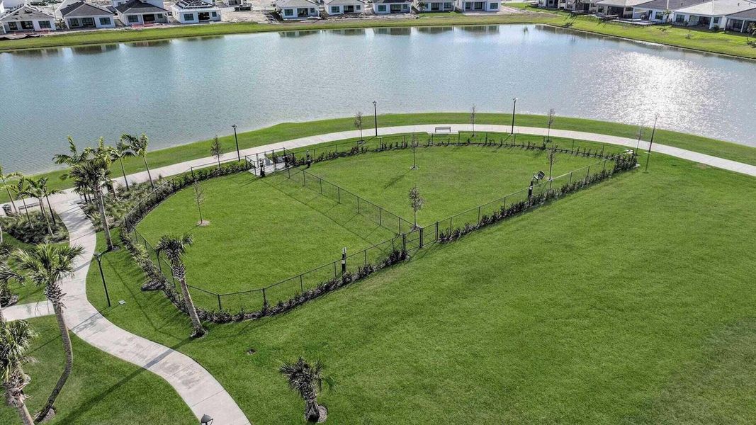 dog park dog park