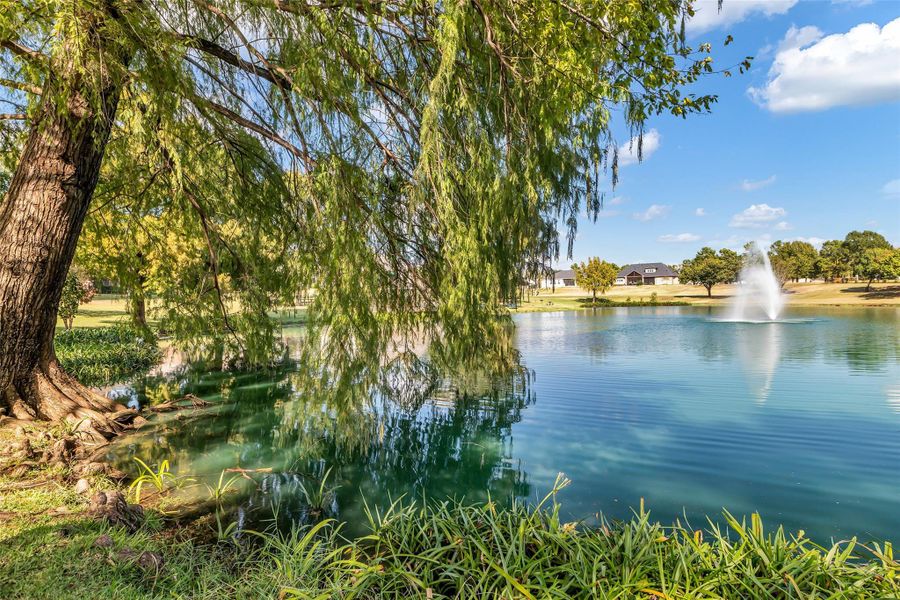 pond next to walking trail behind home