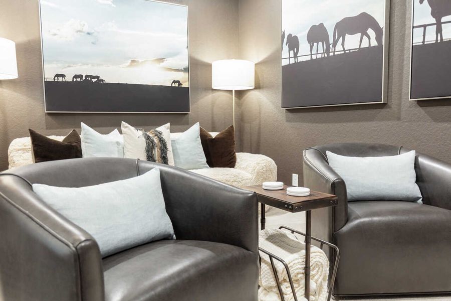 Representative Entertainment Room - some options shown