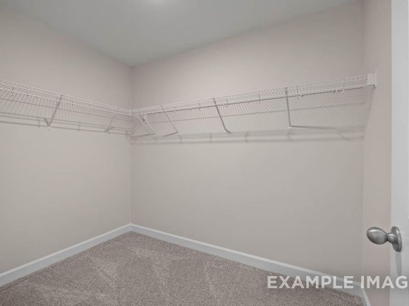 Spacious, unfurnished interior of a new home in Springvale, Fuquay Varina (Image 20).