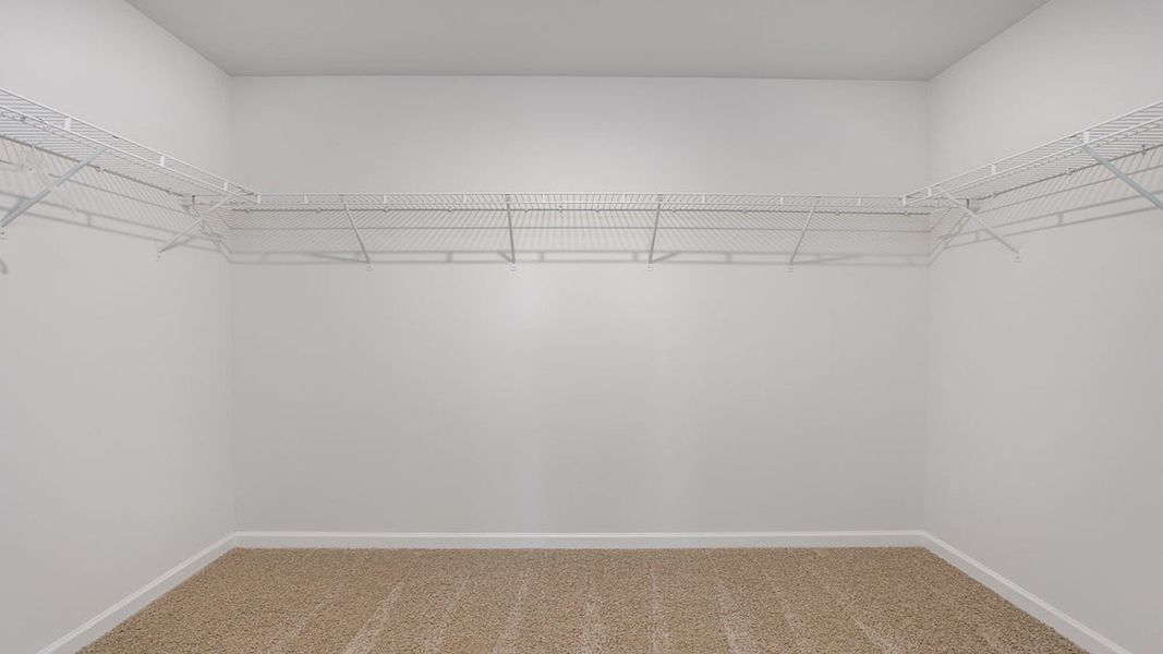 Spacious, unfurnished interior of a new home in Dail Farm, Farmville (Image 18).