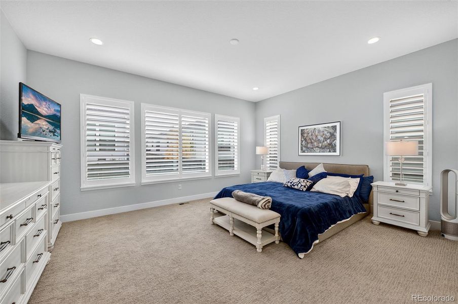Primary Bedroom (Wide View) – Expansive primary suite with soft neutral walls, plush carpet, and multiple windows that fill the space with natural light.