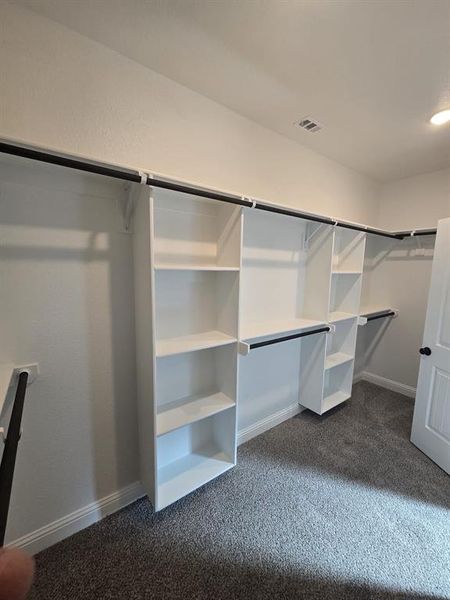 Walk in closet with dark carpet
