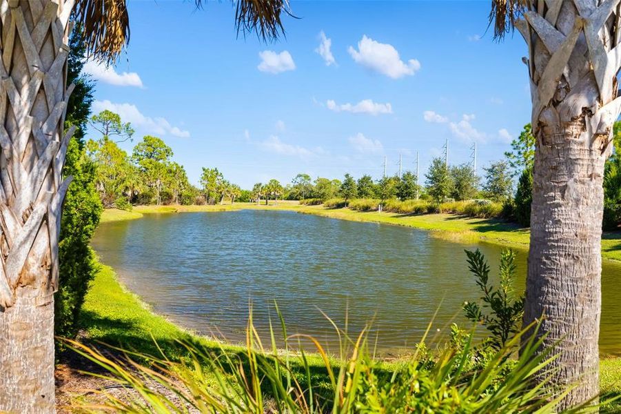 Natural landscape and outdoor views near  in Nokomis (Image 54).