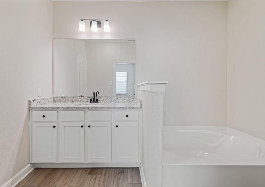 Master bathroom with spacious vanity