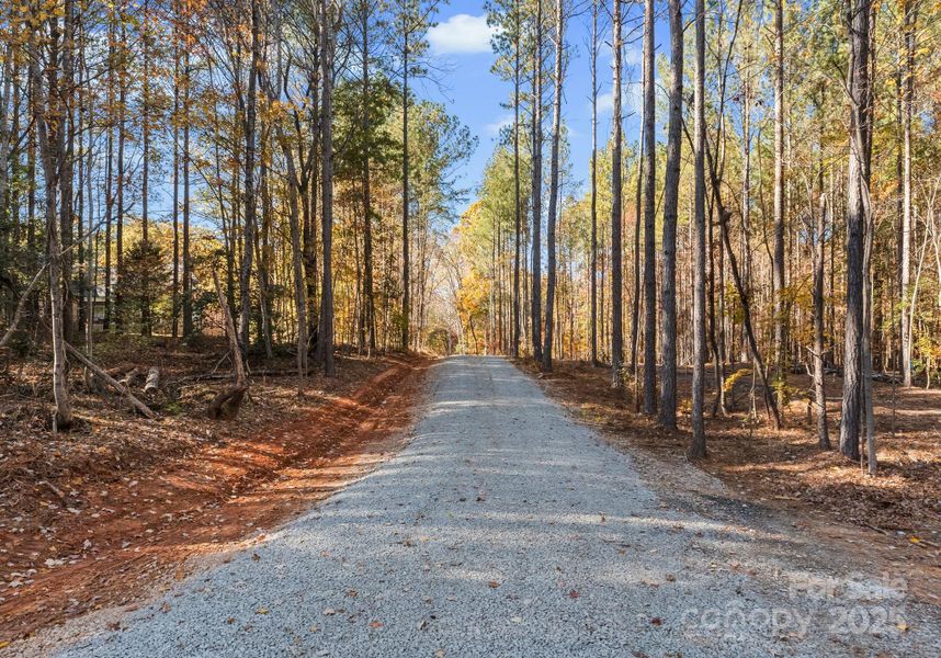 Natural landscape and outdoor views near  in Denver (Image 37).