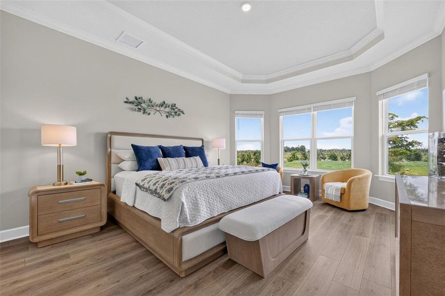 Furnished interior view inside a new home in Skye Ranch Community Group Page, Sarasota (Image 34). Furnished interior view inside a new home in Skye Ranch Community Group Page, Sarasota (Image 34).