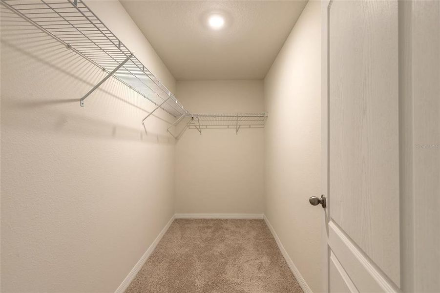 Spacious, unfurnished interior of a new home in , New Smyrna Beach (Image 19). Spacious, unfurnished interior of a new home in , New Smyrna Beach (Image 19).