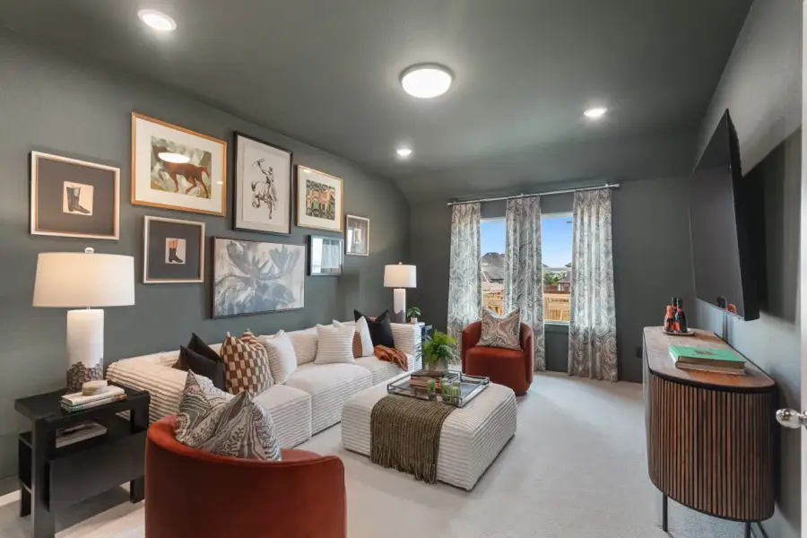 Representative Entertainment Room - some options shown Representative Entertainment Room - some options shown