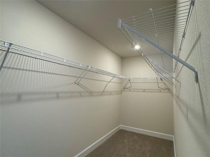 Spacious, unfurnished interior of a new home in Harmony Central, Harmony (Image 35). Spacious, unfurnished interior of a new home in Harmony Central, Harmony (Image 35).