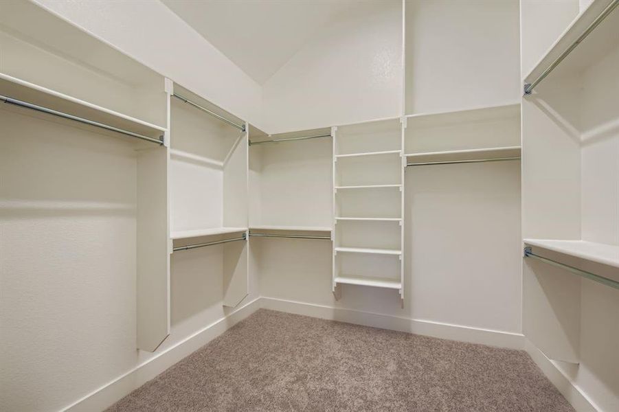 Spacious closet with light carpet