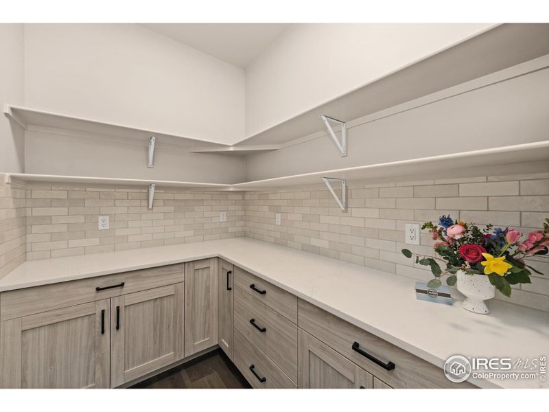 Walk in Pantry with build in cabinetry.