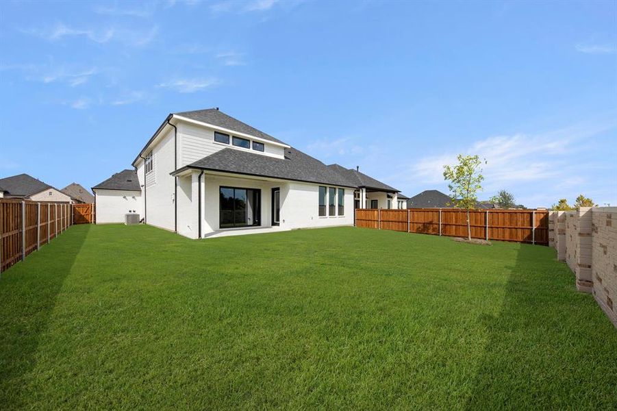 27. 309 Bee Balm - Back (2) 27. 309 Bee Balm - Back (2)