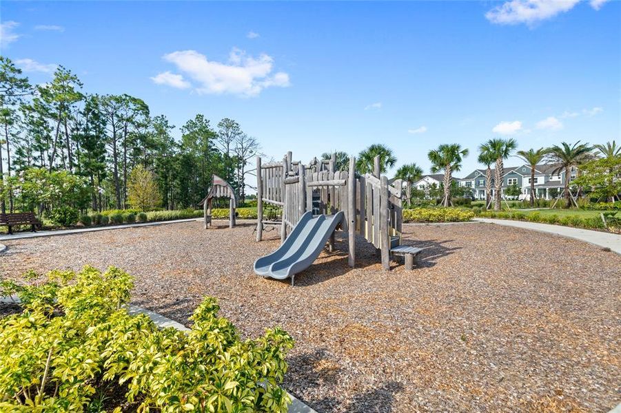 Community amenities in Harvest at Ovation, Winter Garden (Image 34).