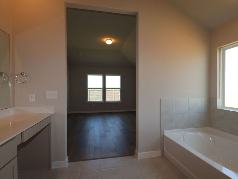 Owner's Bathroom