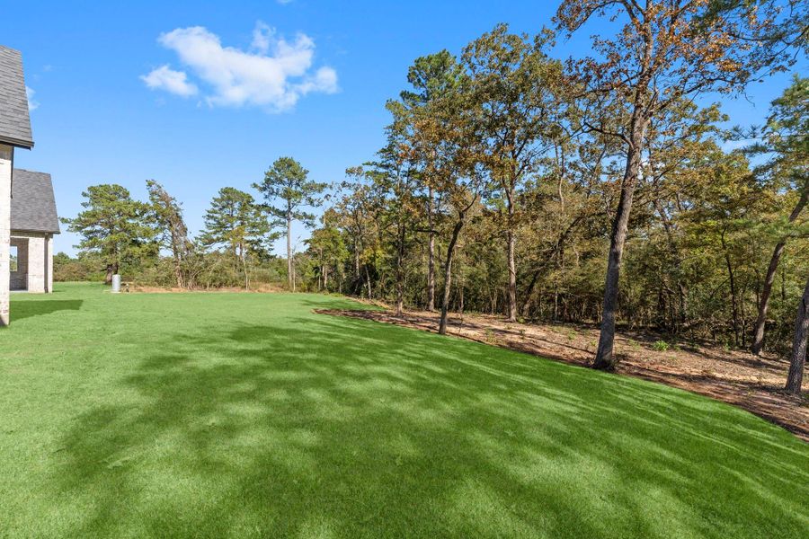 Natural landscape and outdoor views near Homestead Hill in New Waverly (Image 29).