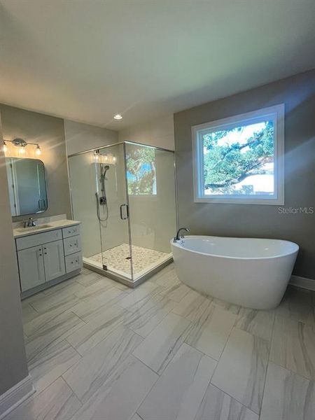 Furnished interior view inside a new home in , Tampa (Image 12). Furnished interior view inside a new home in , Tampa (Image 12).