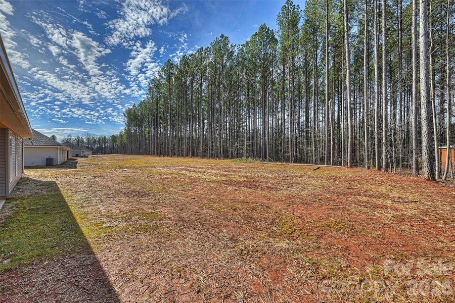 Natural landscape and outdoor views near  in Lincolnton (Image 31).