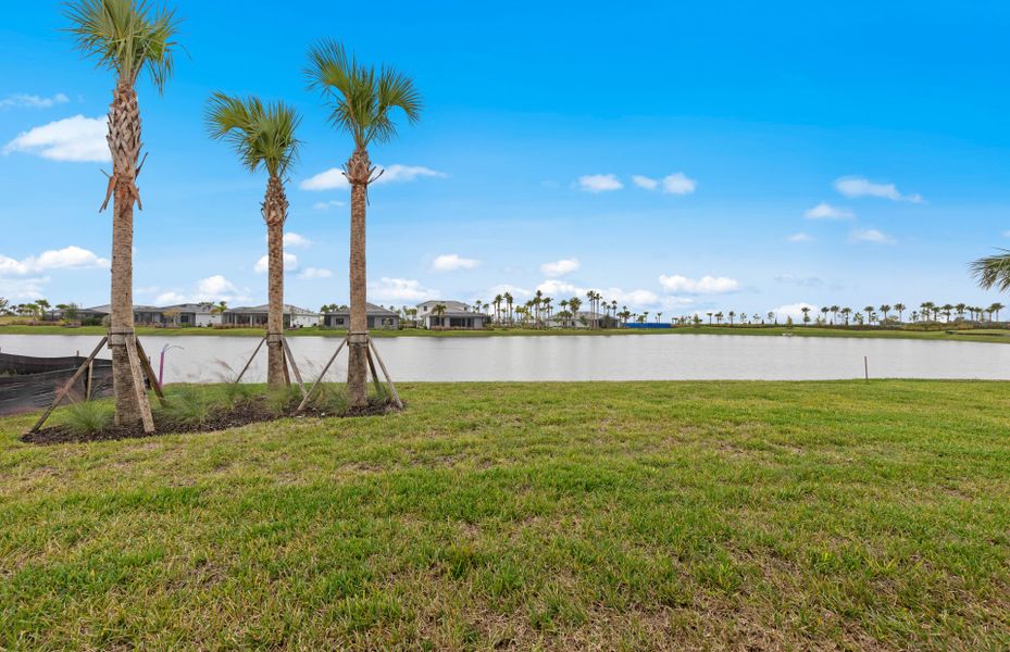 Natural landscape and outdoor views near Del Webb Catalina in Lakewood Ranch (Image 27).