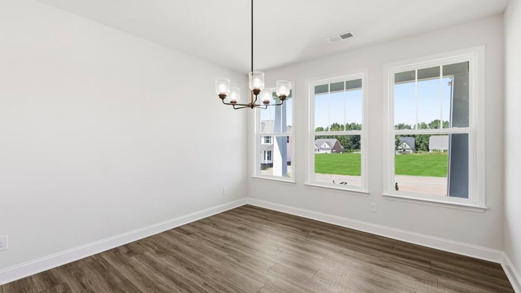 Spacious, unfurnished interior of a new home in Blue Ridge Trail, Fountain Inn (Image 17).