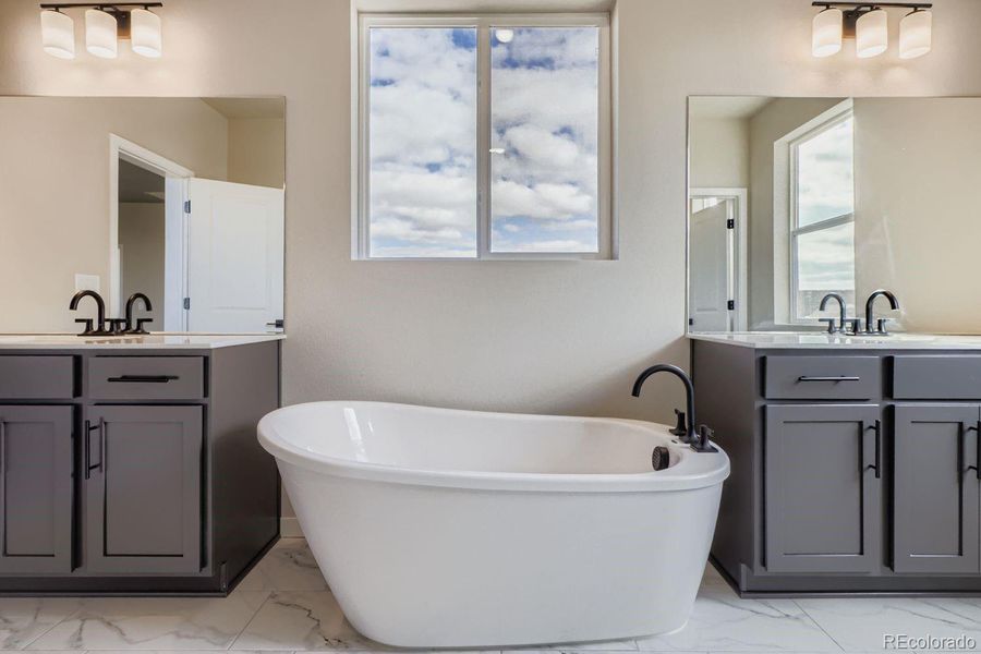 Furnished interior view inside a new home in Spring Valley Ranch, Elizabeth (Image 14).