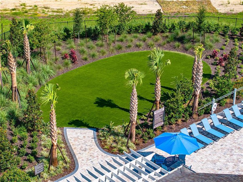 Community amenities in Palm Wind, Hudson (Image 20).