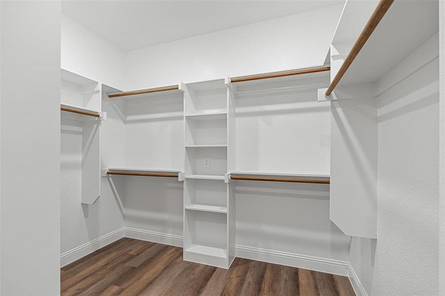 Walk in closet featuring dark hardwood / wood-style flooring