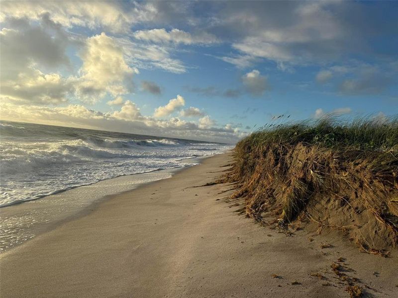 Natural landscape and outdoor views near  in Fort Pierce (Image 32).