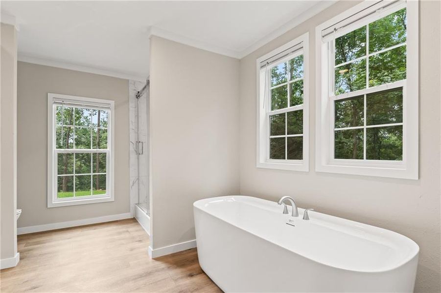 Image 31 of a home in . Image 31 of a home in .