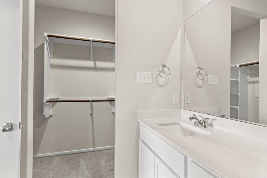 Bathroom with vanity and a spacious closet
