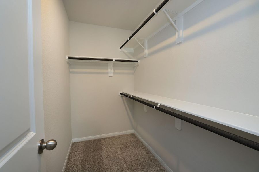 A spacious walk-in closet with multiple shelves and hanging rods, featuring neutral walls and carpet flooring make for an ideally organized storage spot.