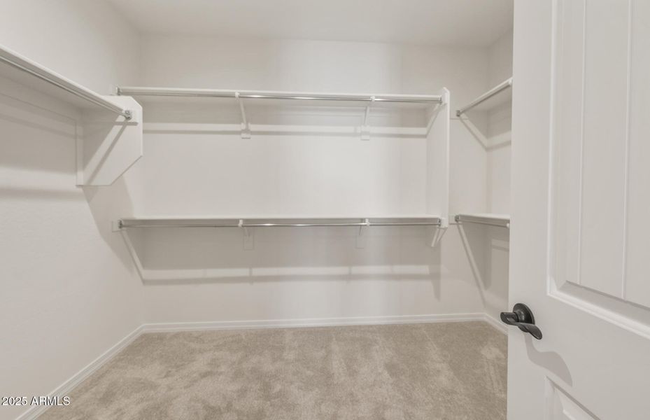 Owner's Closet Owner's Closet