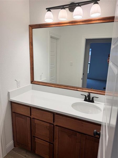 Bathroom with vanity and wood-type flooring